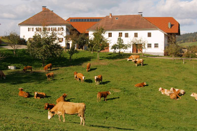 Bauernhaus